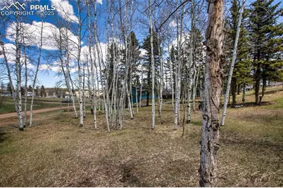 571 Will Scarlet Drive, Divide, CO 80814 - Photo 5