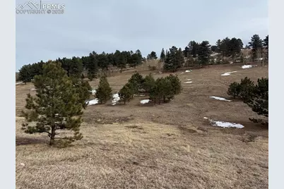 54 Georges Lane, Woodland Park, CO 80863 - Photo 35