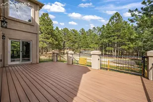 450 E Stirrup Trail, Monument, CO 80132 - Photo 17