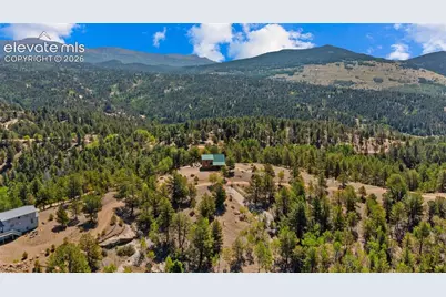 598 Dandy Jim Drive, Cripple Creek, CO 80813 - Photo 35