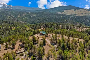 598 Dandy Jim Dr, Cripple Creek, CO 80813 - Photo 35