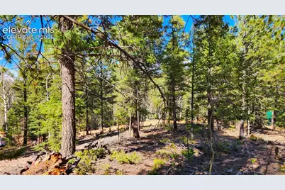 178 Gerka Lane, Florissant, CO 80816 - Photo 11