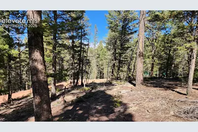 178 Gerka Lane, Florissant, CO 80816 - Photo 9