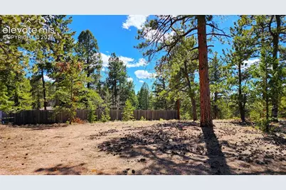 178 Gerka Lane, Florissant, CO 80816 - Photo 3