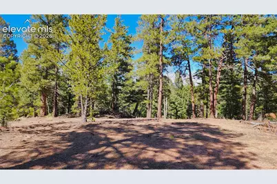 178 Gerka Lane, Florissant, CO 80816 - Photo 1