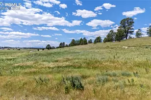 10906 Alamar Wy, Colorado Springs, CO 80908 - Photo 1