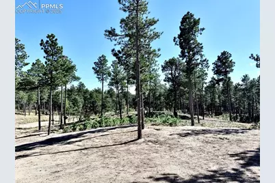 3145 Promise Point, Colorado Springs, CO 80921 - Photo 13