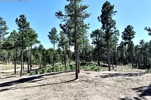 3145 Promise Pt, Colorado Springs, CO 80921 - Photo 13