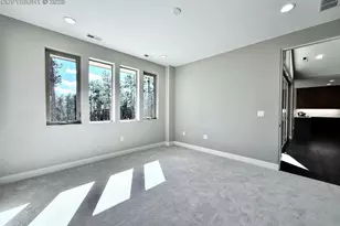 3145 Promise Pt, Colorado Springs, CO 80921 - Photo 13