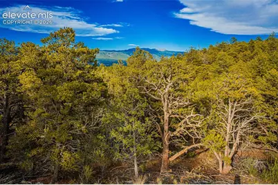 Lot 3 County Road 634.2, Gardner, CO 81040 - Photo 11