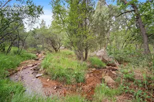 609 Crystal Hills Blvd, Manitou Springs, CO 80829 - Photo 35