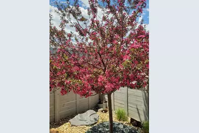 2050 Volterra Way, Colorado Springs, CO 80921 - Photo 27