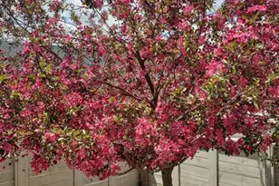 2050 Volterra Wy, Colorado Springs, CO 80921 - Photo 27