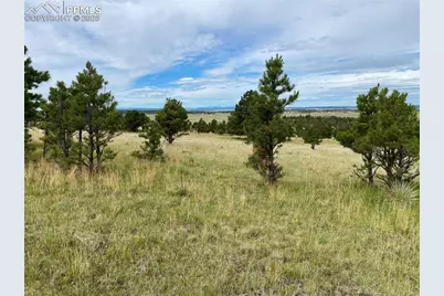 31963 Cattle Circle, Ramah, CO 80832 - Photo 5