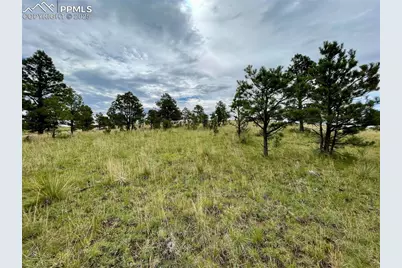 31963 Cattle Circle, Ramah, CO 80832 - Photo 7