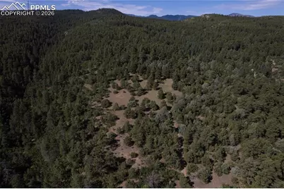8716 National Forest Drive, Beulah, CO 81023 - Photo 43