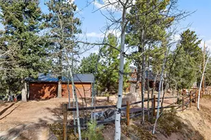 111 Blue Spruce Rd, Divide, CO 80814 - Photo 45
