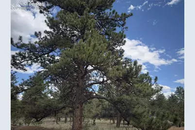 3948 S Muley Gulch Drive, Hartsel, CO 80449 - Photo 15