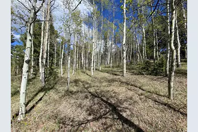 845 Markus Road, Woodland Park, CO 80863 - Photo 33