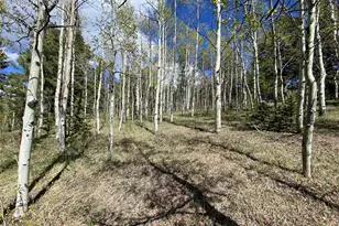 845 Markus Rd, Woodland Park, CO 80863 - Photo 33