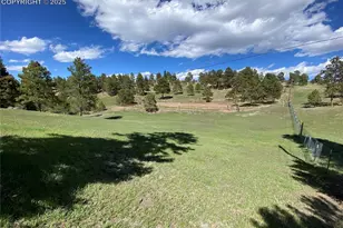 845 Markus Rd, Woodland Park, CO 80863 - Photo 5