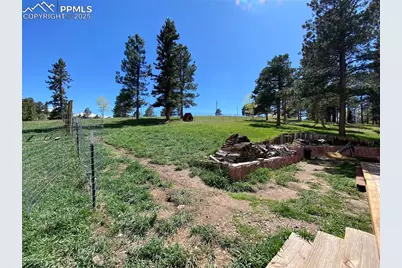 845 Markus Road, Woodland Park, CO 80863 - Photo 27