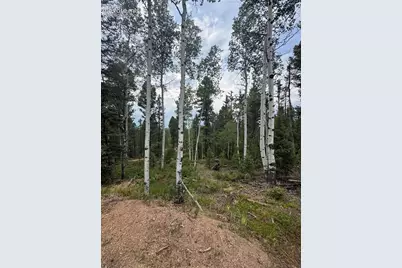 111 Elk Creek Drive, Divide, CO 80814 - Photo 1