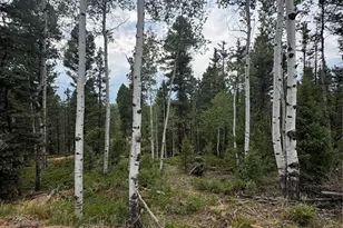 111 Elk Creek Dr, Divide, CO 80814 - Photo 1
