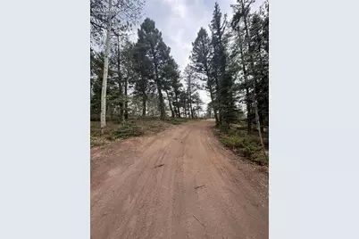 111 Elk Creek Drive, Divide, CO 80814 - Photo 3