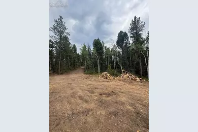 111 Elk Creek Drive, Divide, CO 80814 - Photo 7