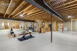 368 Patricia Pt, Woodland Park, CO 80863 - Photo 29