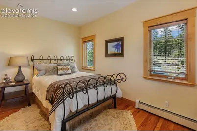 368 Patricia Point, Woodland Park, CO 80863 - Photo 23
