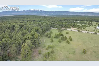 3930 Serenity Place, Colorado Springs, CO 80908 - Photo 7