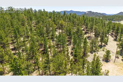 56 Dallas Park Circle, Florissant, CO 80816 - Photo 13