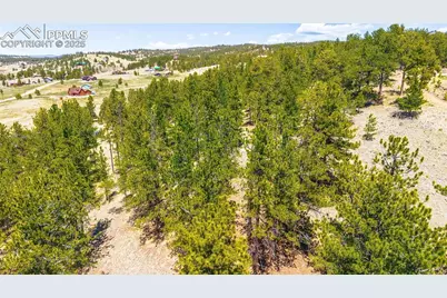 56 Dallas Park Circle, Florissant, CO 80816 - Photo 5