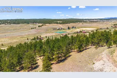 56 Dallas Park Circle, Florissant, CO 80816 - Photo 3