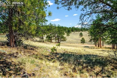 56 Dallas Park Circle, Florissant, CO 80816 - Photo 7