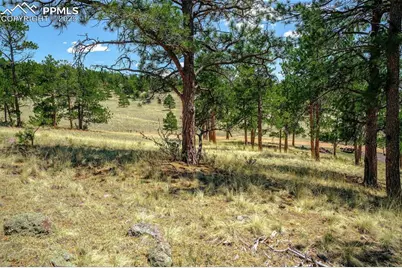 56 Dallas Park Circle, Florissant, CO 80816 - Photo 11