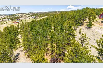 56 Dallas Park Circle, Florissant, CO 80816 - Photo 17