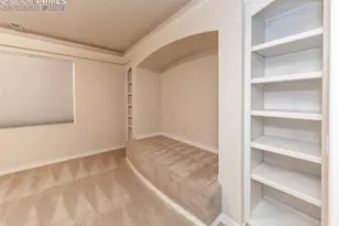 2452 Spanish Oak Terrace, Colorado Springs, CO 80920 - Photo 39