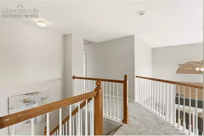 459 Assay Court, Colorado Springs, CO 80905 - Photo 17