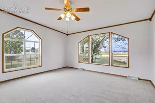 7335 Chelsey Way, Peyton, CO 80831 - Photo 35