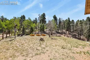 4269 Co Rd 51, Divide, CO 80814 - Photo 43