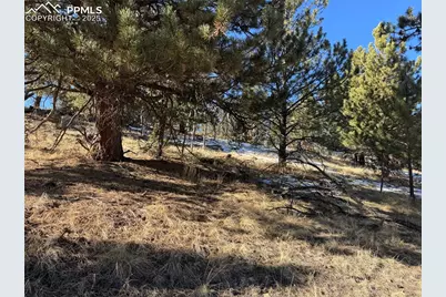 91 Hidden Valley Drive, Florissant, CO 80816 - Photo 5