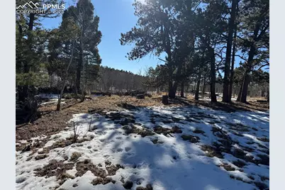 91 Hidden Valley Drive, Florissant, CO 80816 - Photo 13