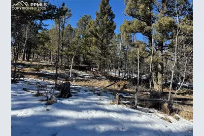 91 Hidden Valley Drive, Florissant, CO 80816 - Photo 7