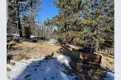 91 Hidden Valley Drive, Florissant, CO 80816 - Photo 9