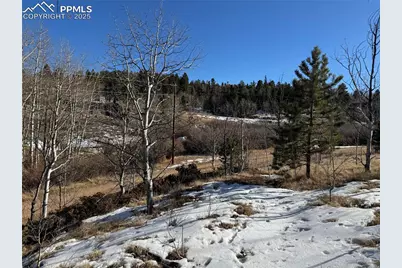 91 Hidden Valley Drive, Florissant, CO 80816 - Photo 25