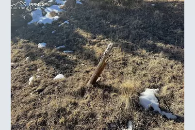 91 Hidden Valley Drive, Florissant, CO 80816 - Photo 3