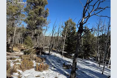 91 Hidden Valley Drive, Florissant, CO 80816 - Photo 11